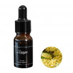 10 ml Naudingas lengvas kvapus &scaron;alinantis kompakti&scaron;kas automobilių kvepalų oro gaiviklio buteliukas automobilių priedai eterinis aliejus B