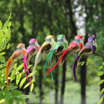 Plunksnų pauk&scaron;tis Spalva Pauk&scaron;tis Putplastis Pauk&scaron;tis Žalias Augalų ri&scaron;imo modeliavimas Plunksnų pauk&scaron;čių Sodininkystė Pastoracinis sodas Dekoratyvinis amatų pauk&scaron;tis 6pcs