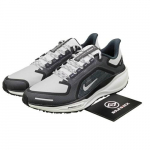 Nike Air Zoom Pegasus 41 GORE-TEX Geležies pilka Summit balta - FQ1356-002 EU 41 pilka spalva