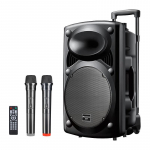 NEWMINE B12 12 colių Bluetooth vežimėlio garsiakalbis su dvigubais mikrofonais CN ki&scaron;tukas (adapteris įtrauktas)