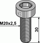 Varžtas su vidiniu &scaron;e&scaron;iakampiu - M20x2,5 - 10.9