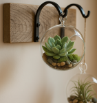 Pakabinama dekoracija su sukulentu ir tilandsija
