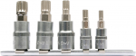 Įpresuotų antgalių rinkinys 1/4"+3/8", 5 vnt Spline M5 - M12 (YT-04360)