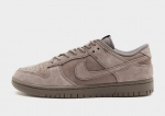 NIKE DUNK LOW RETRO SE Ruda