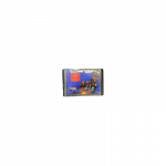 Theme Park Sega Genesis