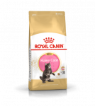 Royal Canin Maine Coon Kitten sausas maistas katėms 10 kg