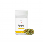 LOOSEN AMNESIA GOLD kanapės &ndash; 12%