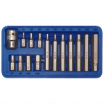 Antgalių rinkinys 15vnt. HEX CrV Vorel | H4, H5, H6, H7, H8, H10, H12