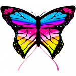 Aitvaras &bdquo;RAINBOW1"