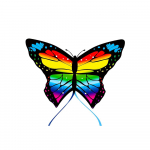 Aitvaras &bdquo;RAINBOW2"