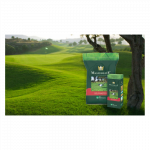 Prestižinė veja GOLFMASTER 10kg