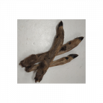 Stirnos koja su kailiu