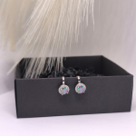 Auskarai &ndash; klipsai &bdquo;&Scaron;iaurės pa&scaron;vaistė&ldquo;