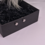 Magnetiniai auskarai &bdquo;Plieno ta&scaron;kas&ldquo;