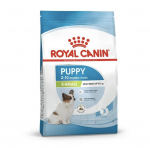 ROYAL CANIN SHN X-Small puppy sausas pa&scaron;aras &scaron;uniukams 1,5kg