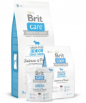 BRIT CARE Grain Free Junior Large Breed Salmon & Potato 2 x 12kg