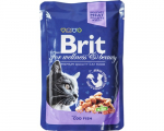 Brit Premium Cod Fish 100g x 24vnt.