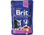 Brit Premium Salmon & Trout 100g x 24vnt.