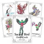 Sacred Bird Oracle kortos Animal Dreaming