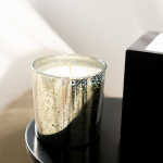 Sojų va&scaron;ko žvakė &bdquo;Andromeda&ldquo; (sidabrinė) - 2. Jūros druska ir &scaron;alavijas