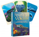 Animal Voices Oracle kortos Blue Angel
