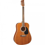 Akustinė Gitara Jay Turser JTA-555