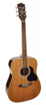 Akustinė Gitara Richwood RD-12 Artist Series Dreadnought Natural