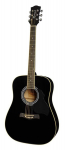 Akustinė Gitara Richwood RD-12-BK Artist Series Dreadnought Black