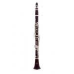 KLARNETAS ROY BENSON F-700.450