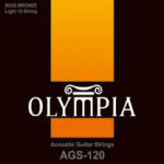 Olympia AGS-120 12-String Acoustic Guitar Strings .010-.047