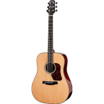 Walden CD-4040E Cert akustinė gitara