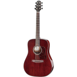 Walden CG-4041E CERT akustinė gitara