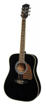 Akustinė Gitara Richwood RD-16BK Artist Series Dreadnought Black