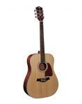 Akustinė Gitara Richwood RD-17 Artist Series