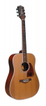 Akustinė Gitara Richwood RD-17C Artist Series