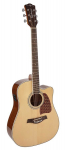 Richwood RD-17CE Artist Series acoustic guitar