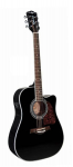 Richwood RD-17CEBK Artist Series acoustic guitar