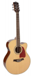 Richwood RJ-17CE Artist Series acoustic guitar