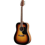 Akustinė gitara Walden D-350 SN/W
