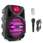 PORTATYVI GARSO KOLONĖLĖ SU MIKROFONU FENTON FP-8JB 8&rdquo; 170.084