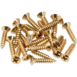 Fender 099-4924-000 Pickguard - Control Plate Mounting Screws