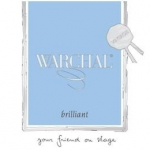 Warchal Brilliant Violin String Set 4/4