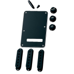 Fender 099-1363-000 Vintage-Style Stratocaster Accessory Kit - Black