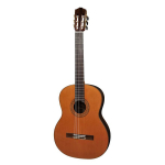 Klasikinė Gitara Salvador Cortez CC-60 Solid Top Concert Series