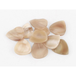 BRAUKTUKAS BOSTON ASK-MSR-CLEAR-HORN MADAGASCAR SERIES 1-VNT.