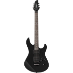 ELEKTRINĖ GITARA YAMAHA RGX-220 DZ II BLACK ELECTRIC