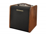 Richwood RAC-50 Acoustic guitar amplifier