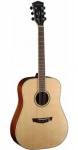 Akustinė Gitara Parkwood PW-310M Open Pore Dreadnought