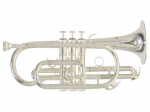 Roy Benson CR-202S  Bb Student Cornet F701.340