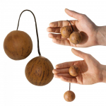 BAR&Scaron;KUTIS TERRE 38440051 THELEVI (ASALATO)